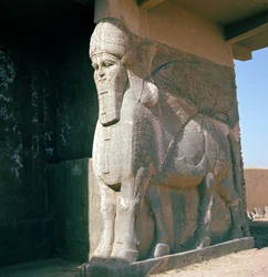Taureau ailé à tête humaine, période néo-assyrienne, règne d